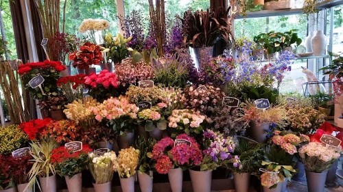 Foto van Bloemenkiosk van Burken