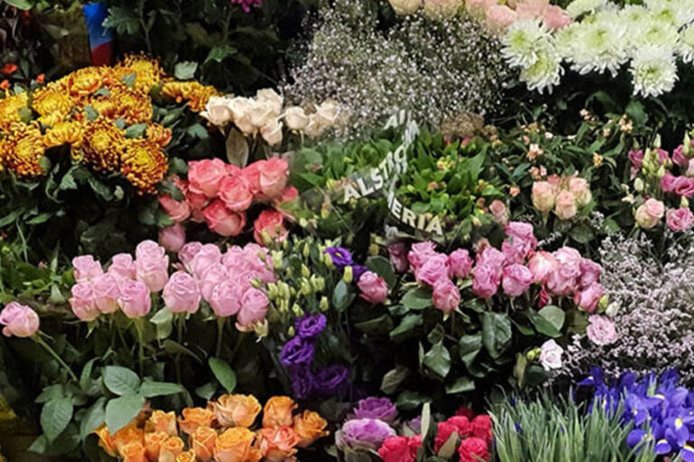 Foto van Lilium bloemen en kado's