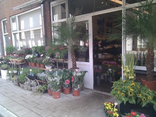 Foto van Co de Rijk Bloemen en Planten