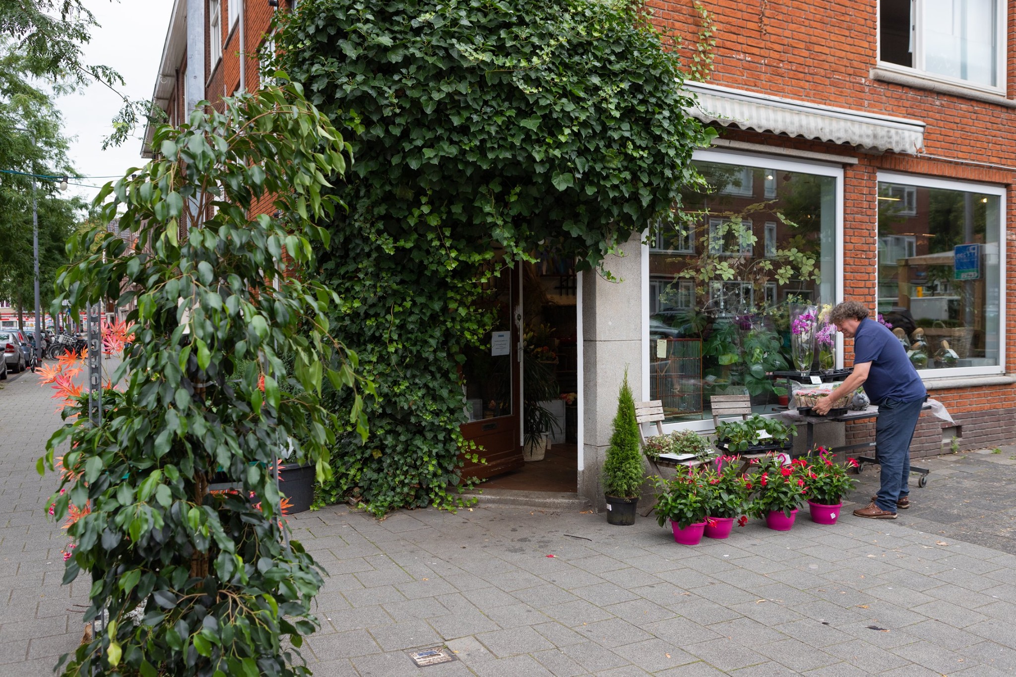 Foto van Cyro-Bloemsierkunst (duurzaam)