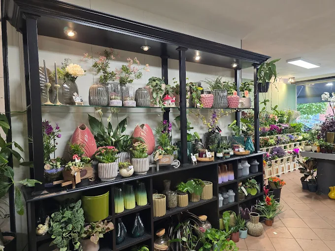 Foto van Koki bloemen en planten