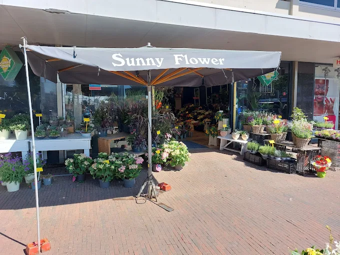 Foto van Sunny Flowers