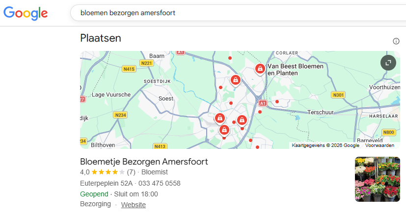 Voorbeeld Google Business Vermelding