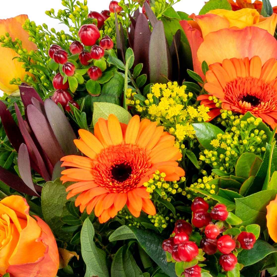 Oranje bloemen: wie wordt er niet blij van?