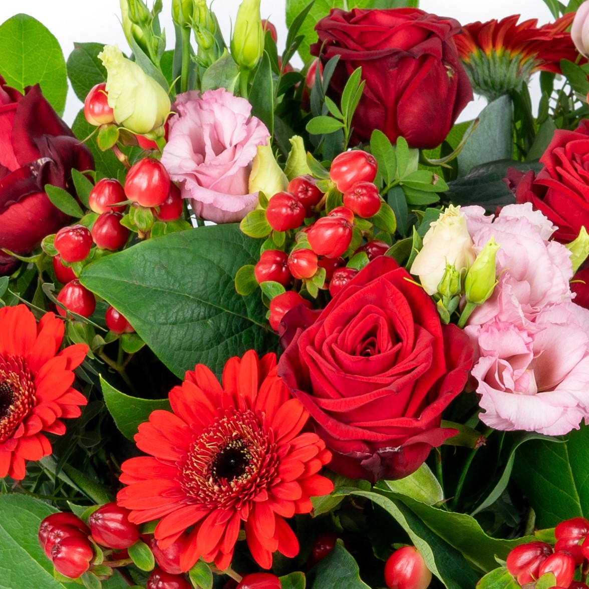 Rode bloemen: passie en romantiek