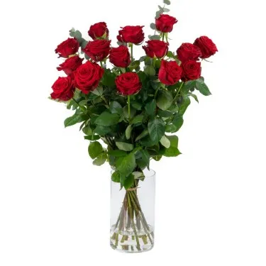 Lange rozen (red Naomi) voor 32,50