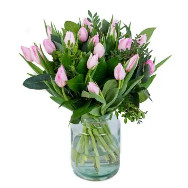 Tulpen Sweet Pink voor 19,95