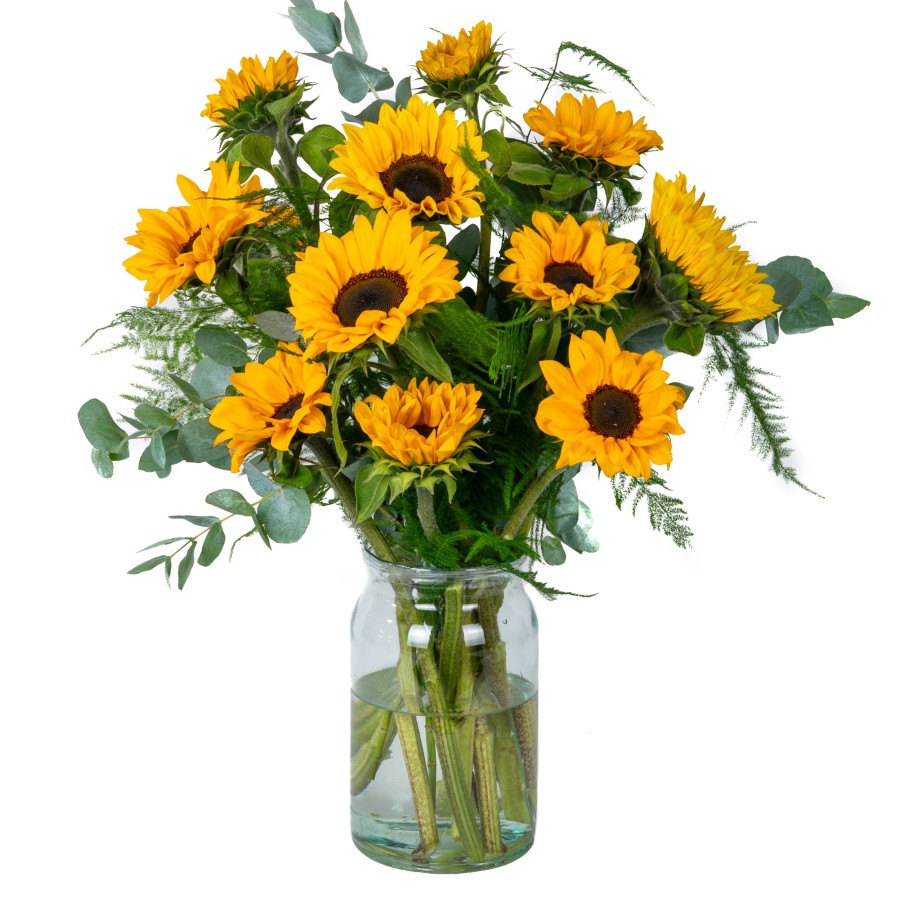 Zonnebloem klassieker