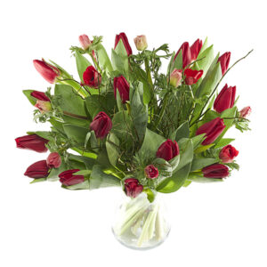 Rode Tulpen Extra XL